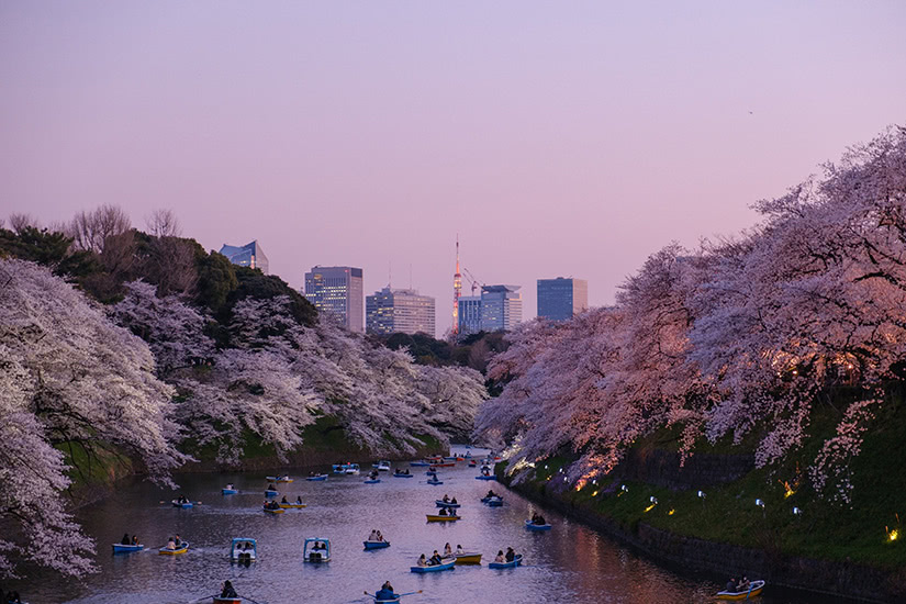 best theatre cities Tokyo - Luxe Digital