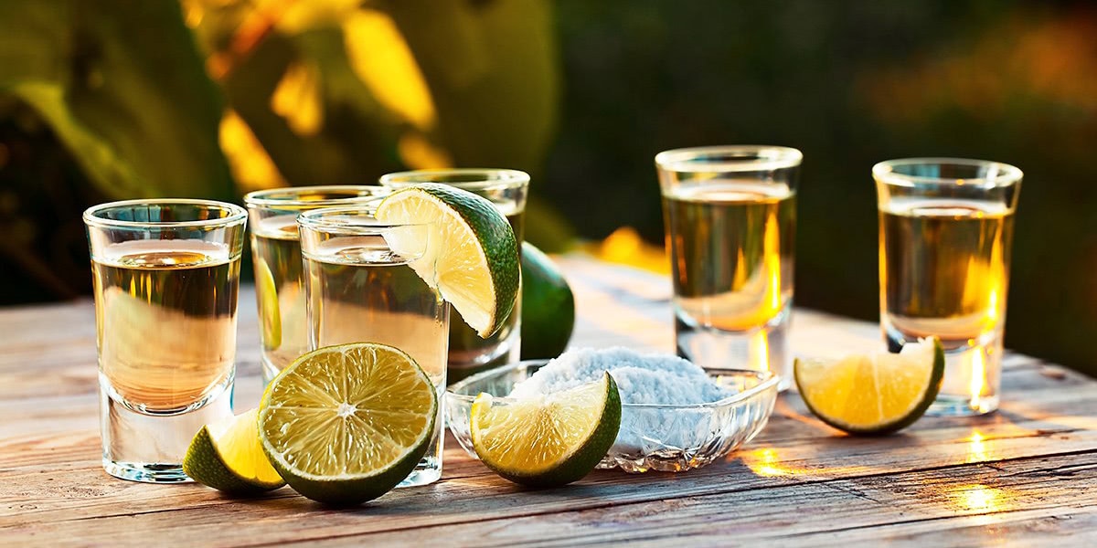 15 Best Tequila Brands Of 2020 Expert Sipping Guide,Mason Jar Terrarium Diy