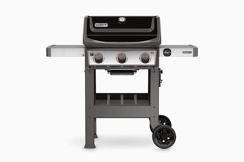 12 Best Grills 2021: Gas, Charcoal, Electric, Pellet Barbecues