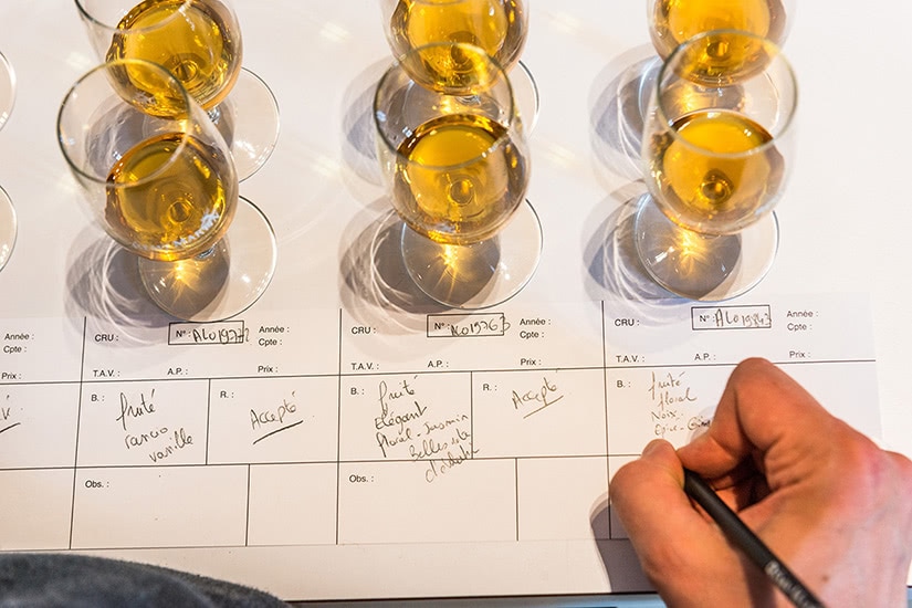 how brandy cognac is made - Luxe Digital