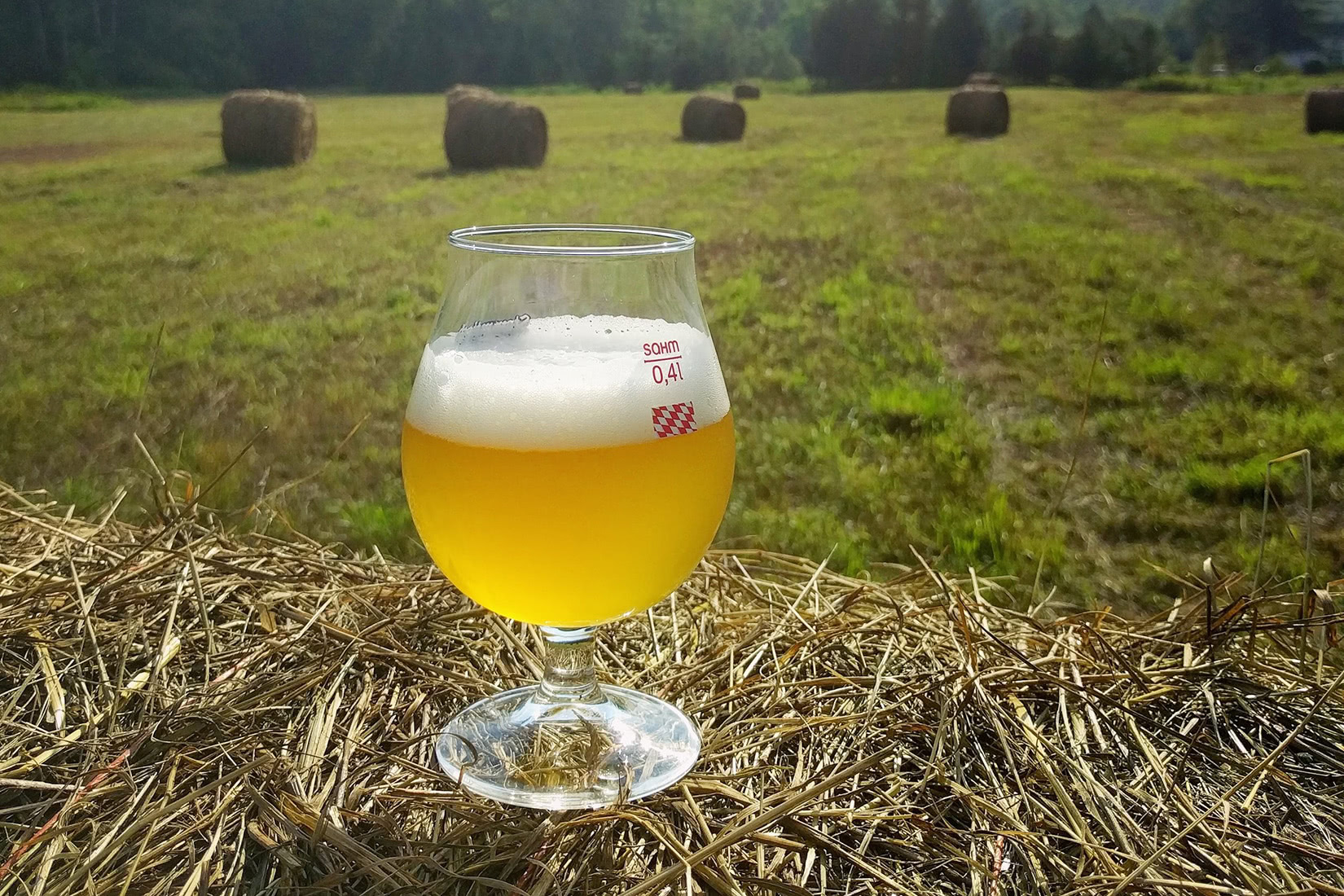 nejlepší pivo značky west kill brewing - Luxe Digital