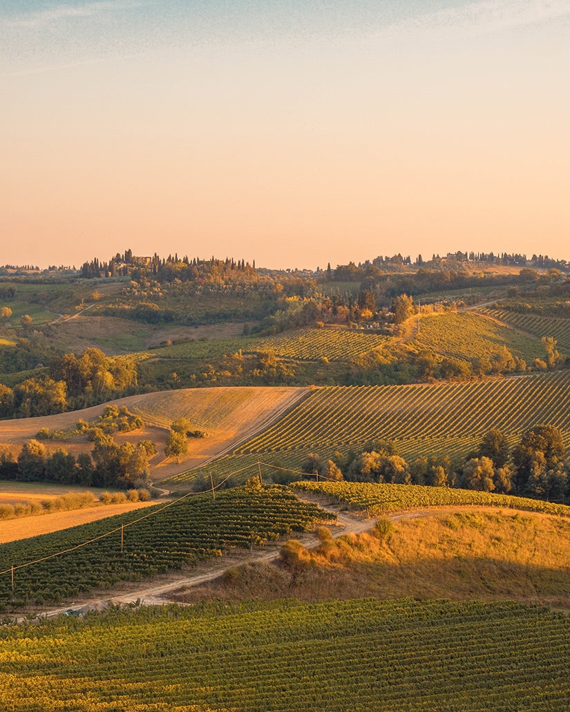 best wine how is made - Luxe Digital