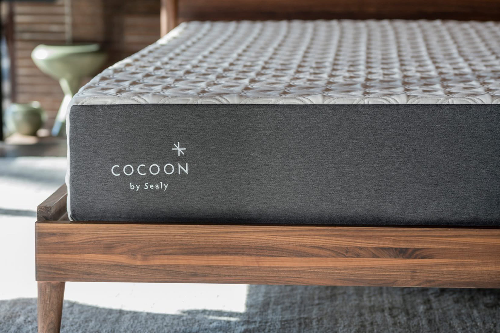download cocoon mattresses