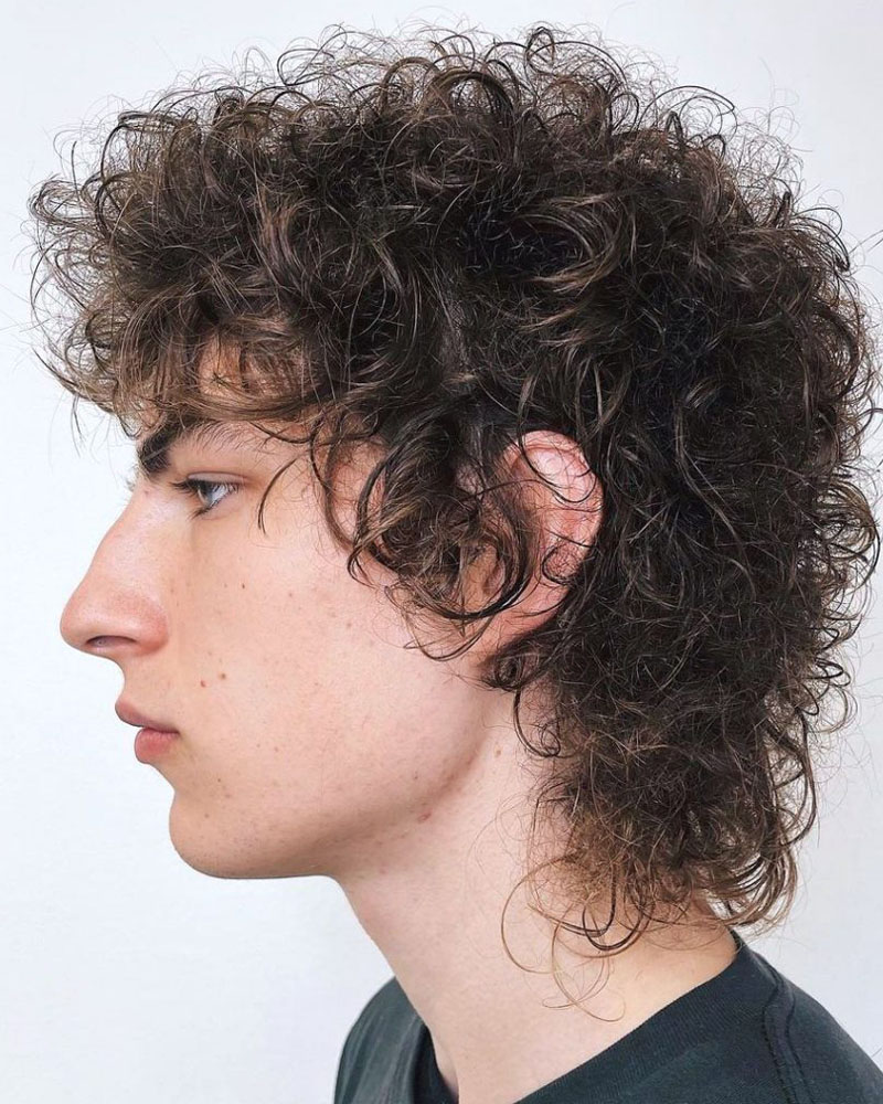 men curly hairstyles thin hair curly shag Luxe Digital