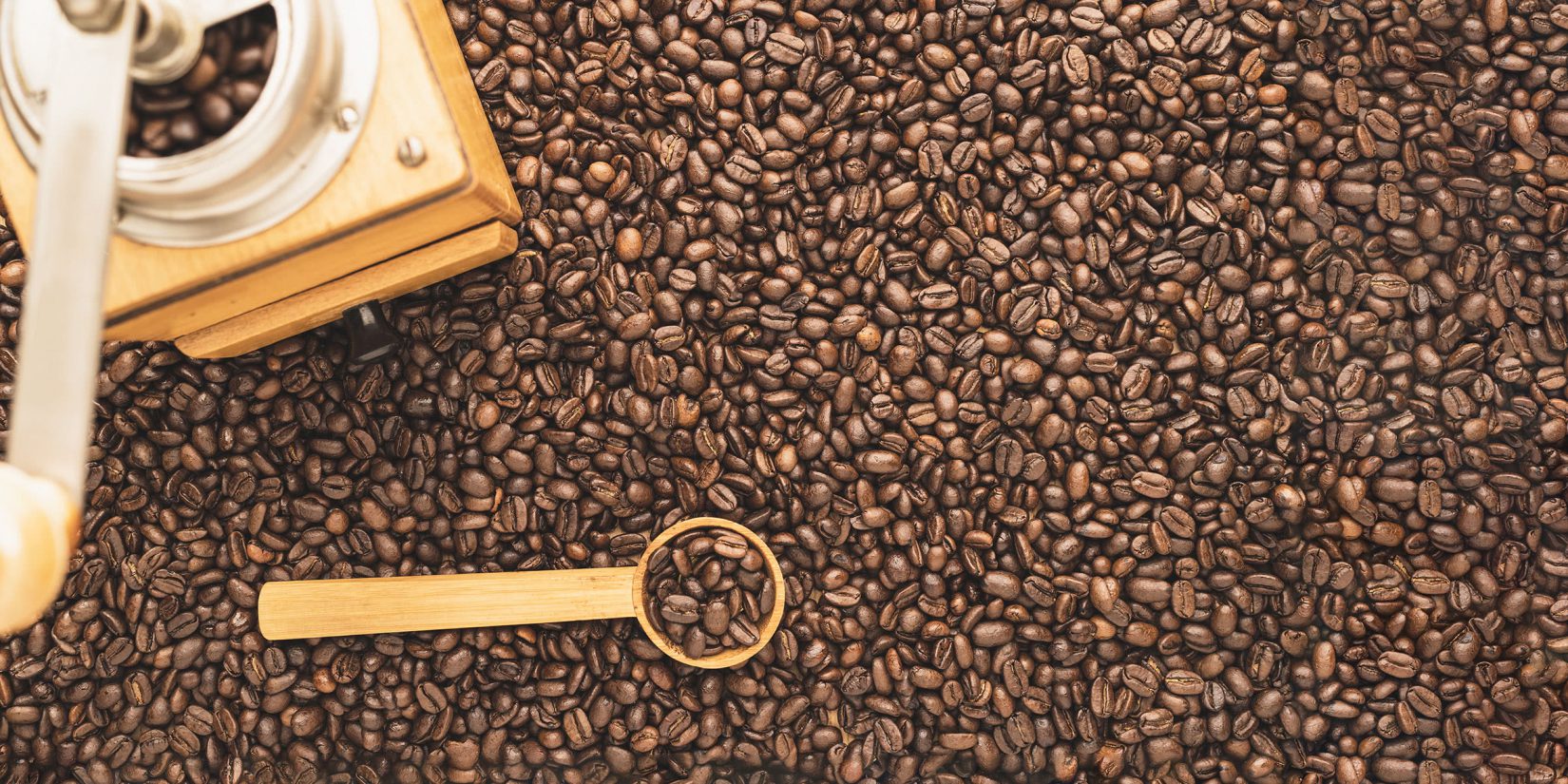 best coffee grinders review - Luxe Digital