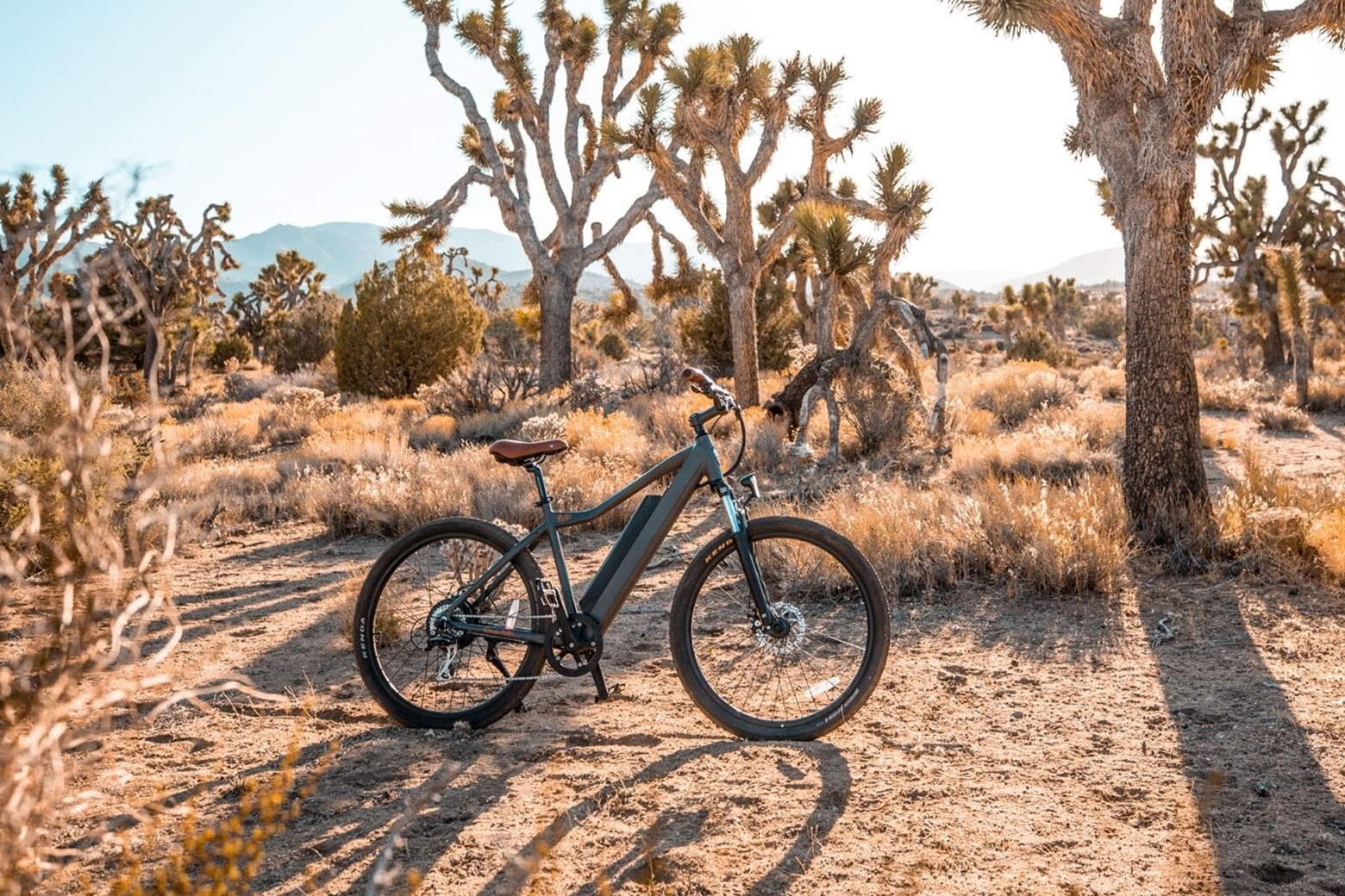 ride1up electric bikes deals discounts - Luxe Digital