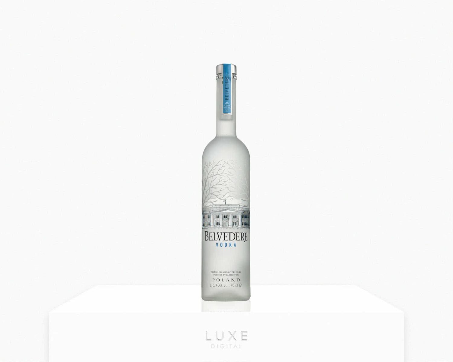 15 Best Vodkas In The World The Brands To Drink (Guide)