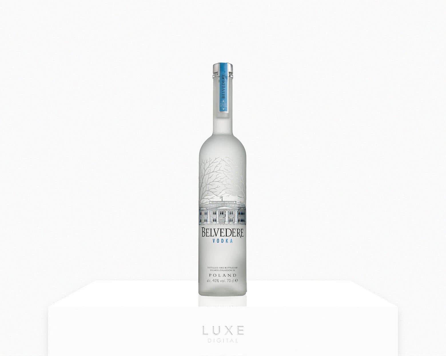 15 Best Vodkas In The World The Brands To Drink (Guide)