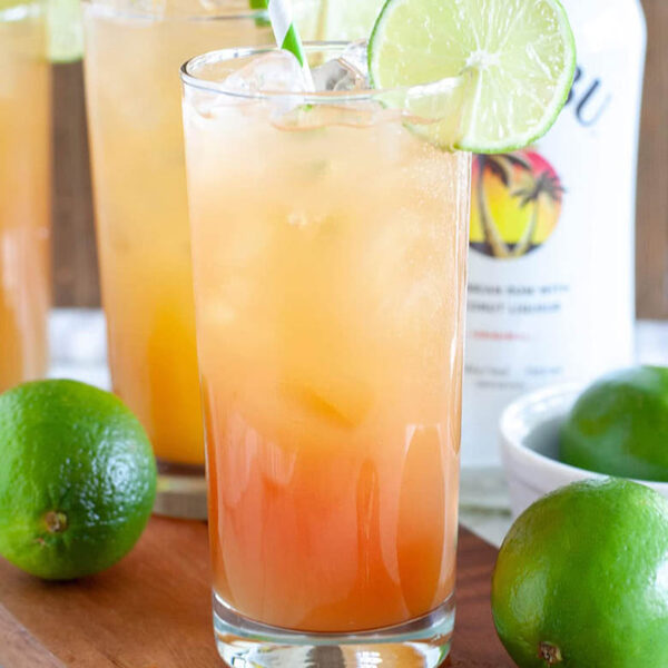 Malibu Price List Find The Perfect Bottle Of Rum (Guide)