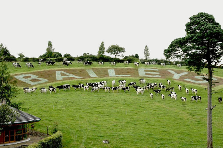 baileys irish cream farm - Luxe Digital