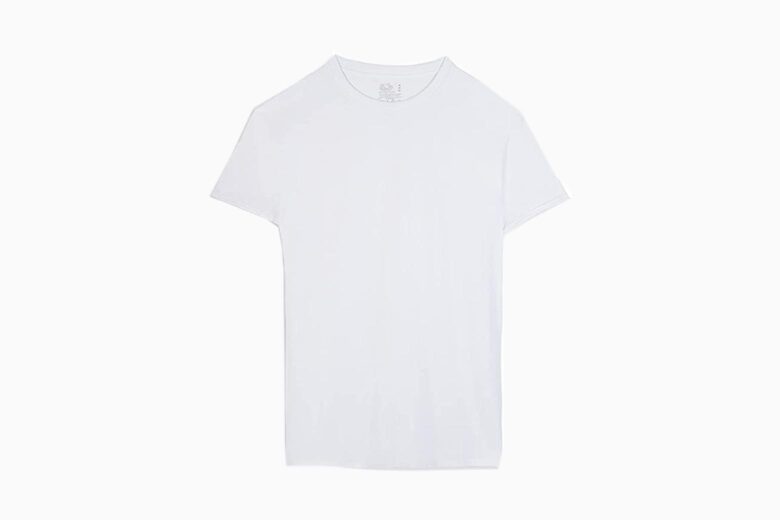 best t shirts men fruit of the loom review - Luxe Digital
