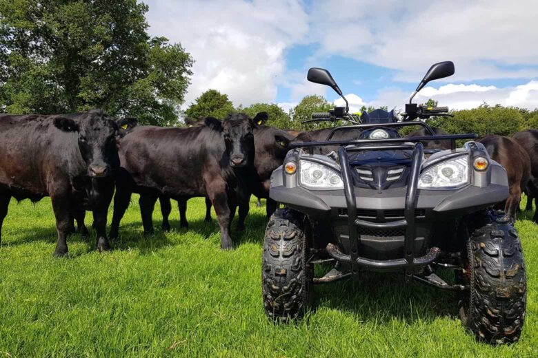 best atv for adults eco charger pioneer 4wd review - Luxe Digital