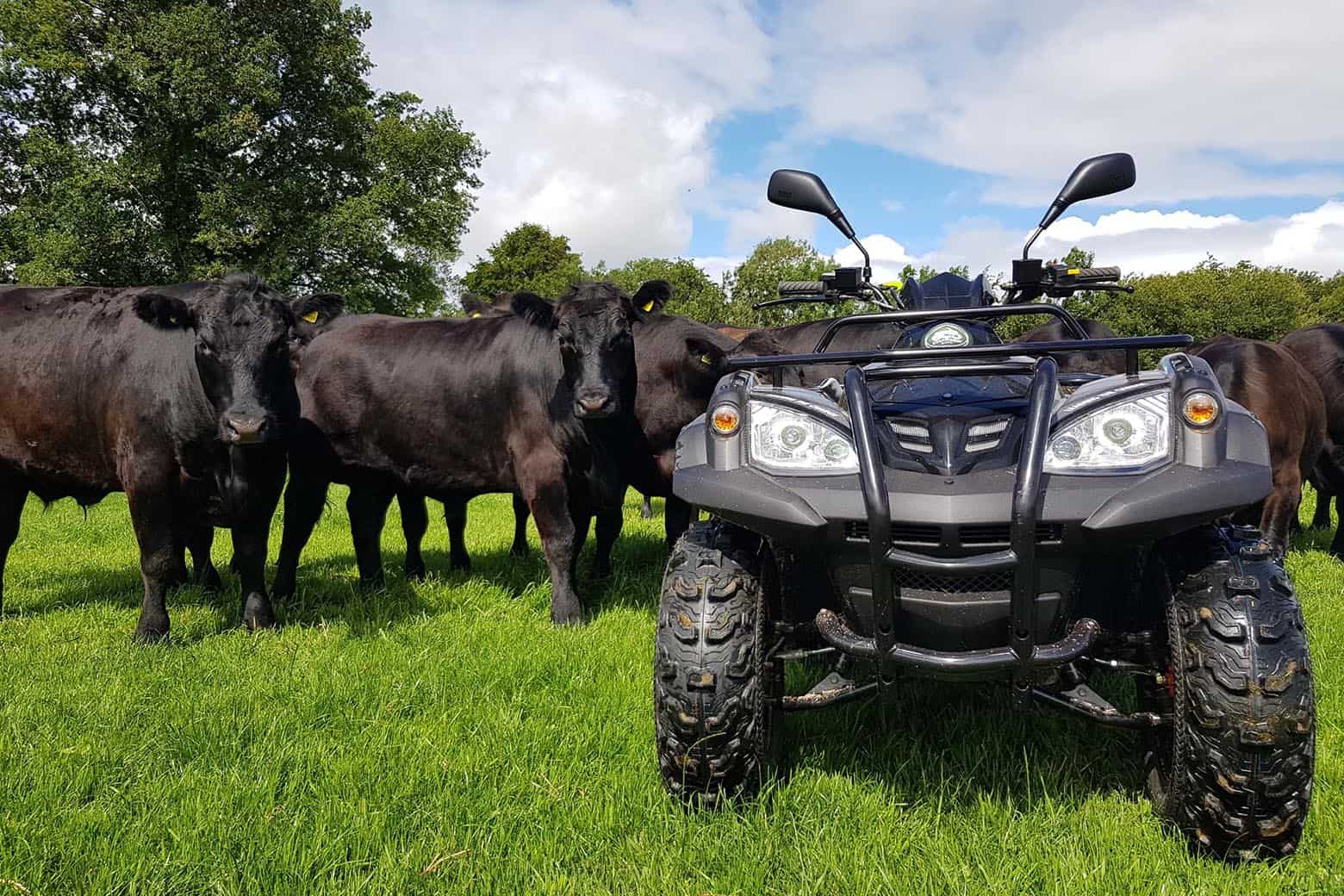 11 Best ATV for Adults To Get Around Outdoors