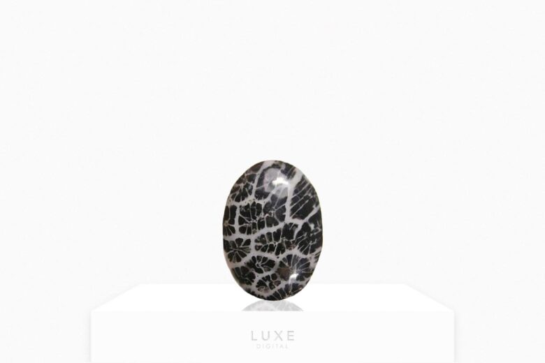 black gemstones black fossil coral review - Luxe Digital