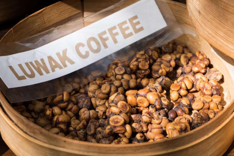 most expensive coffees in the world kopi luwak review - Luxe Digital