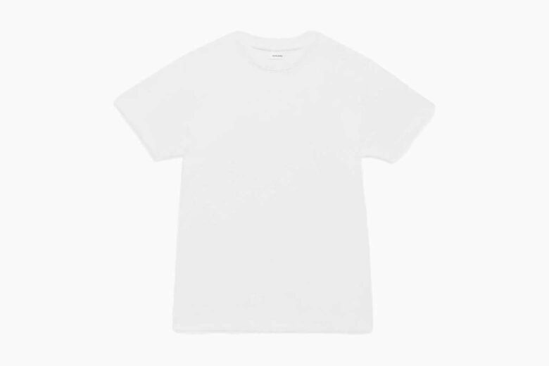 anine bing brand lili tee burnout - Luxe Digital