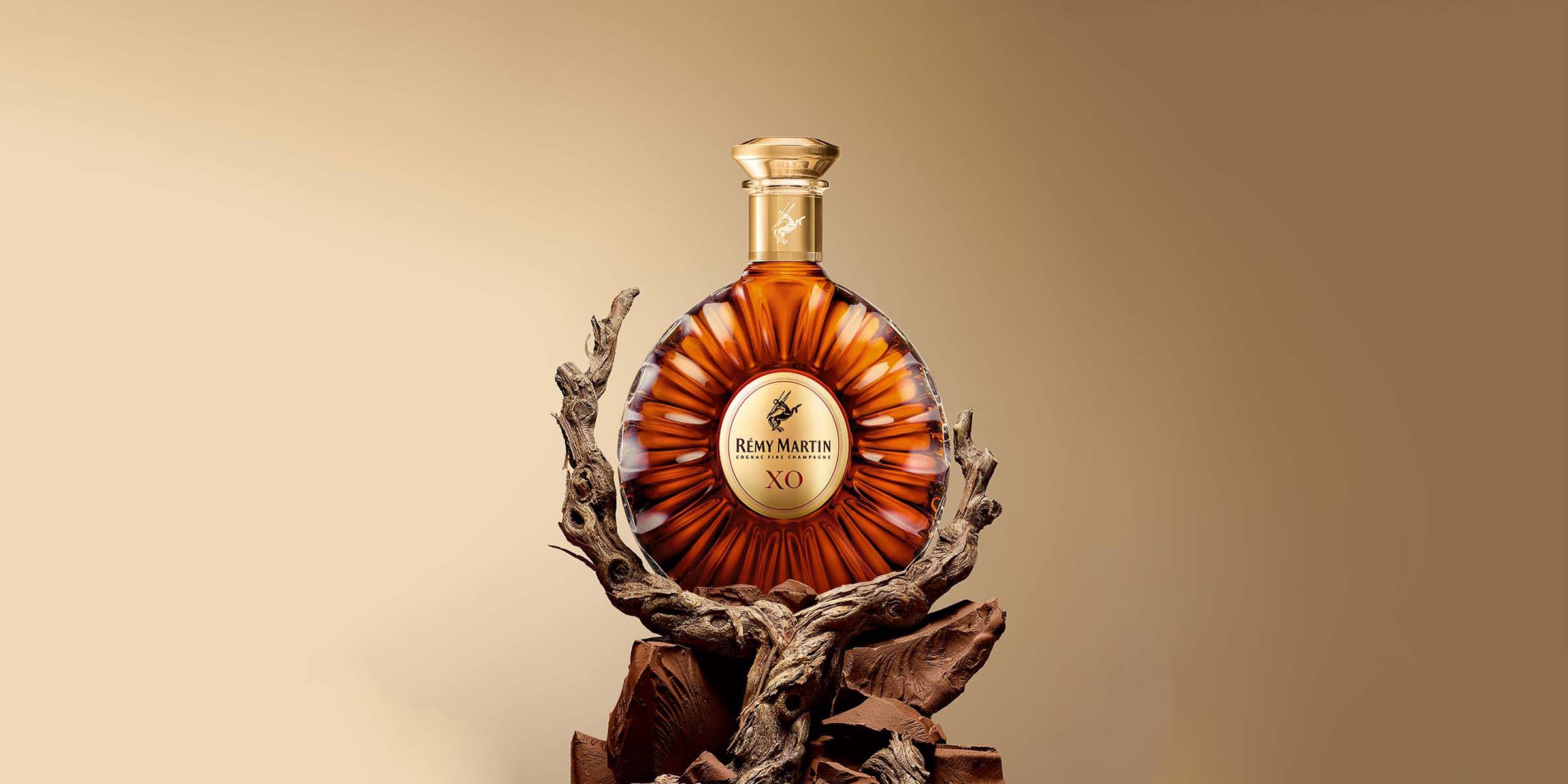 Rémy Martin Price Guide: Find The Perfect Bottle Of Brandy (2023)