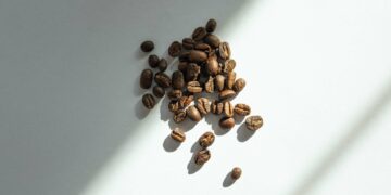 best coffee beans brands reviews - Luxe Digital