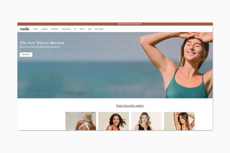 best online shopping sites women andie swim - Luxe Digital