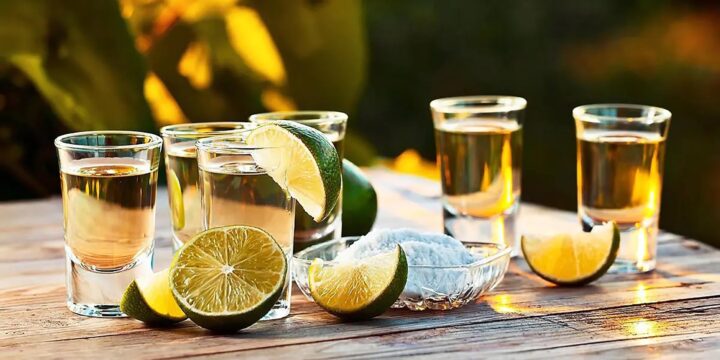 15 Best Tequila Brands In The World: Expert Sipping Guide