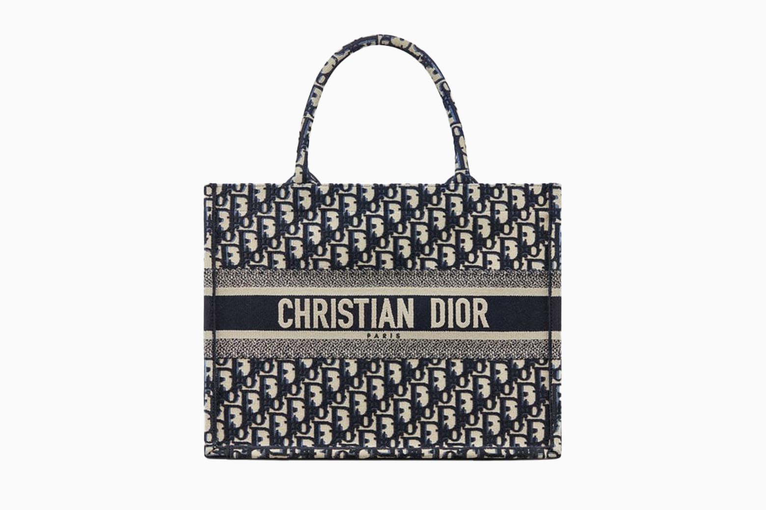 10 Best Dior Bags To Invest In (Ultimate Wish List)
