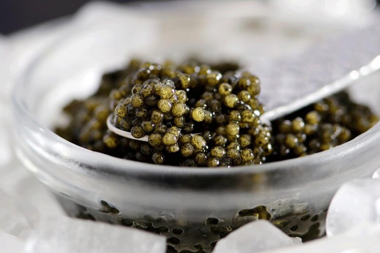 most expensive caviar russian volga reserve osetra caviar - Luxe Digital