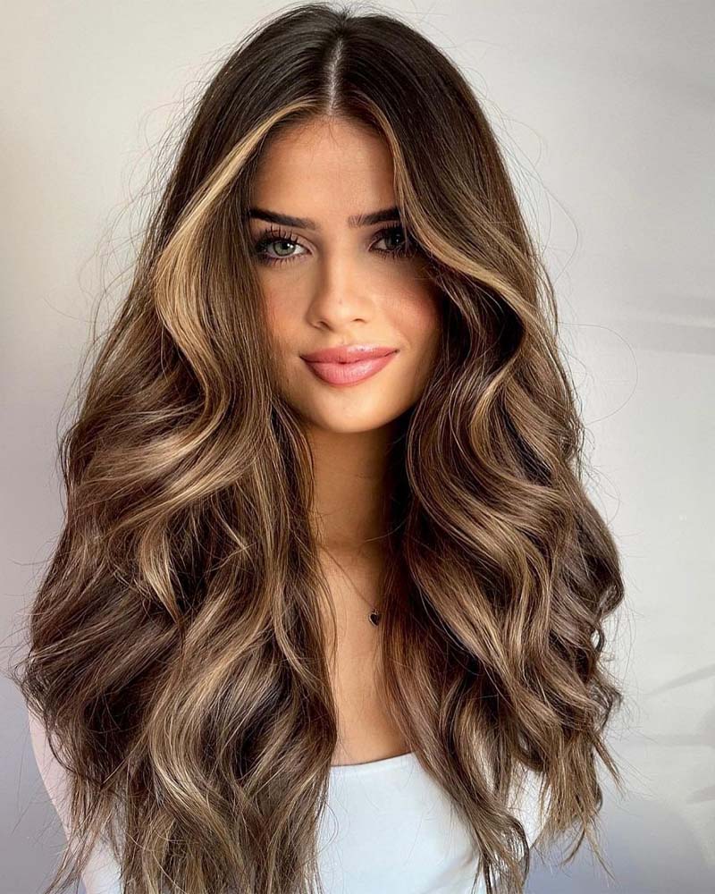 black hair highlights brown and caramel blonde highlights- Luxe Digital