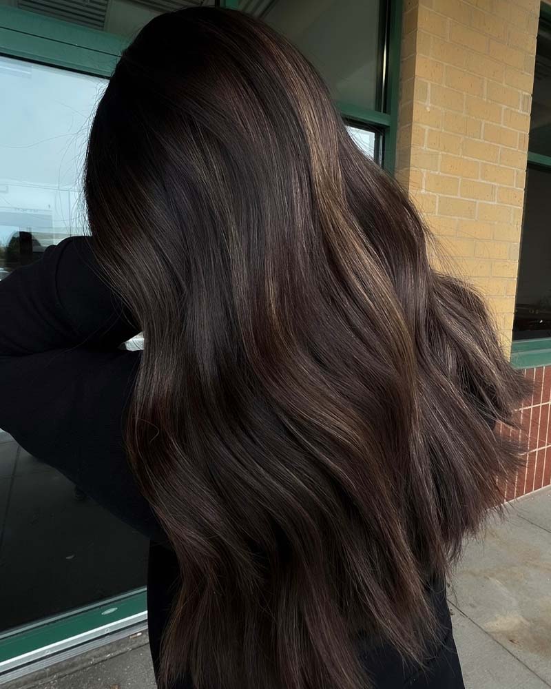 black hair highlights dark brown hair- Luxe Digital