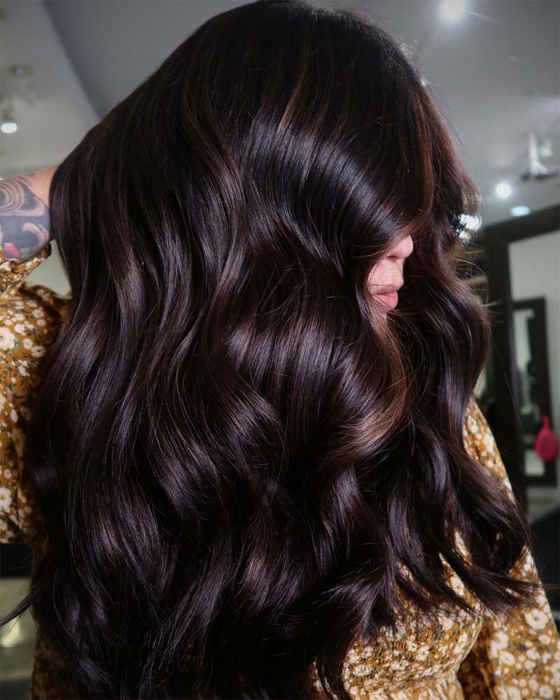 black hair highlights dark brown hair- Luxe Digital