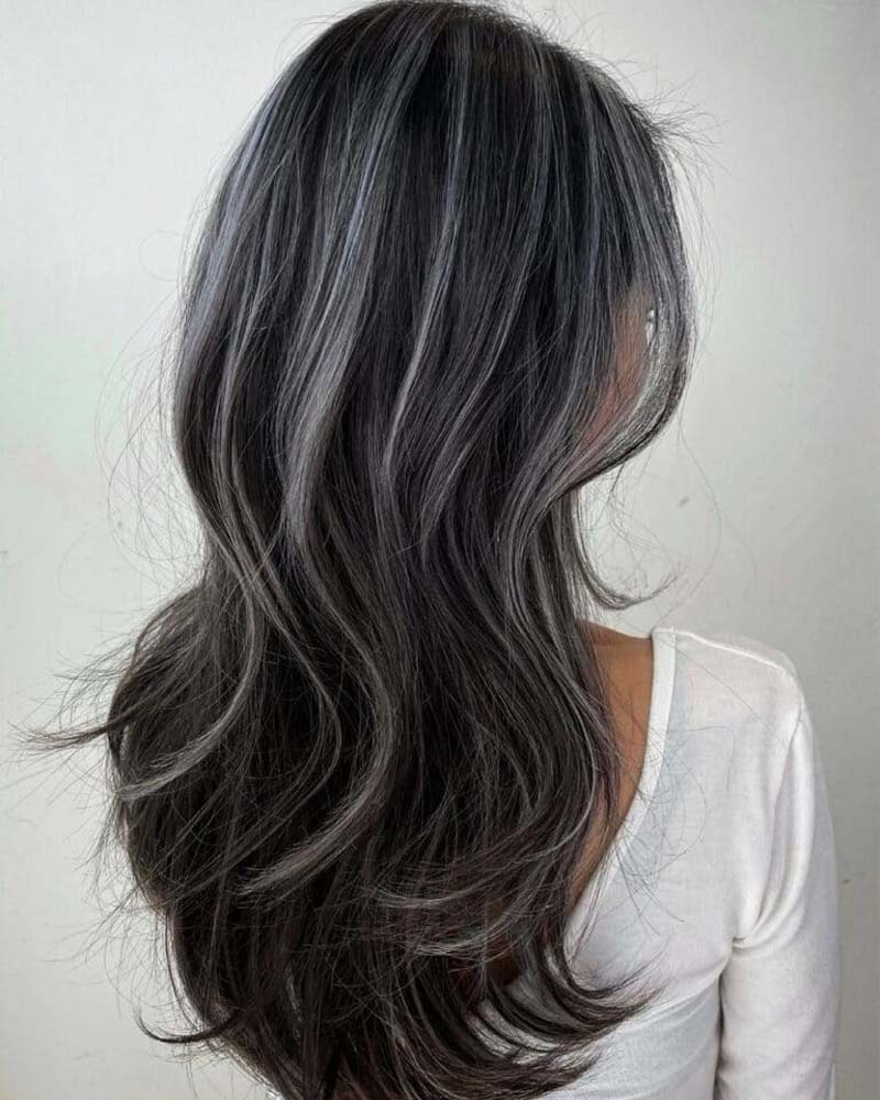 black hair with ash highlights - Luxe Digital