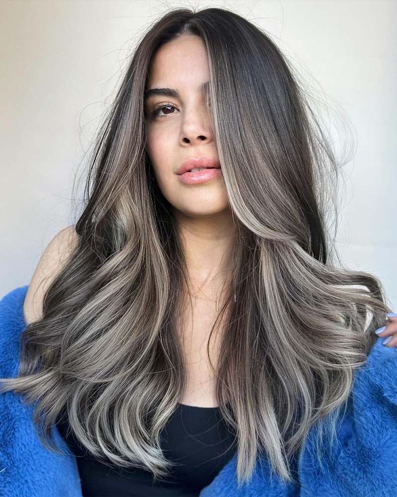 black hair with ash highlights - Luxe Digital