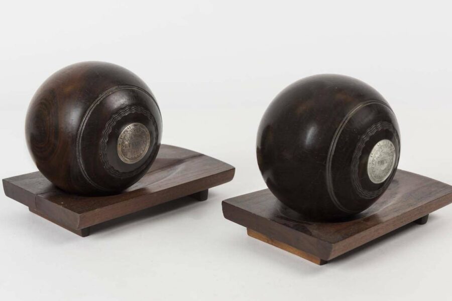 The Most Expensive Types Of Wood In The World (With Prices)