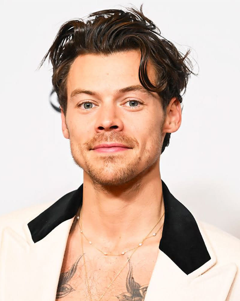 men curly haircuts Harry Styles - Luxe Digital