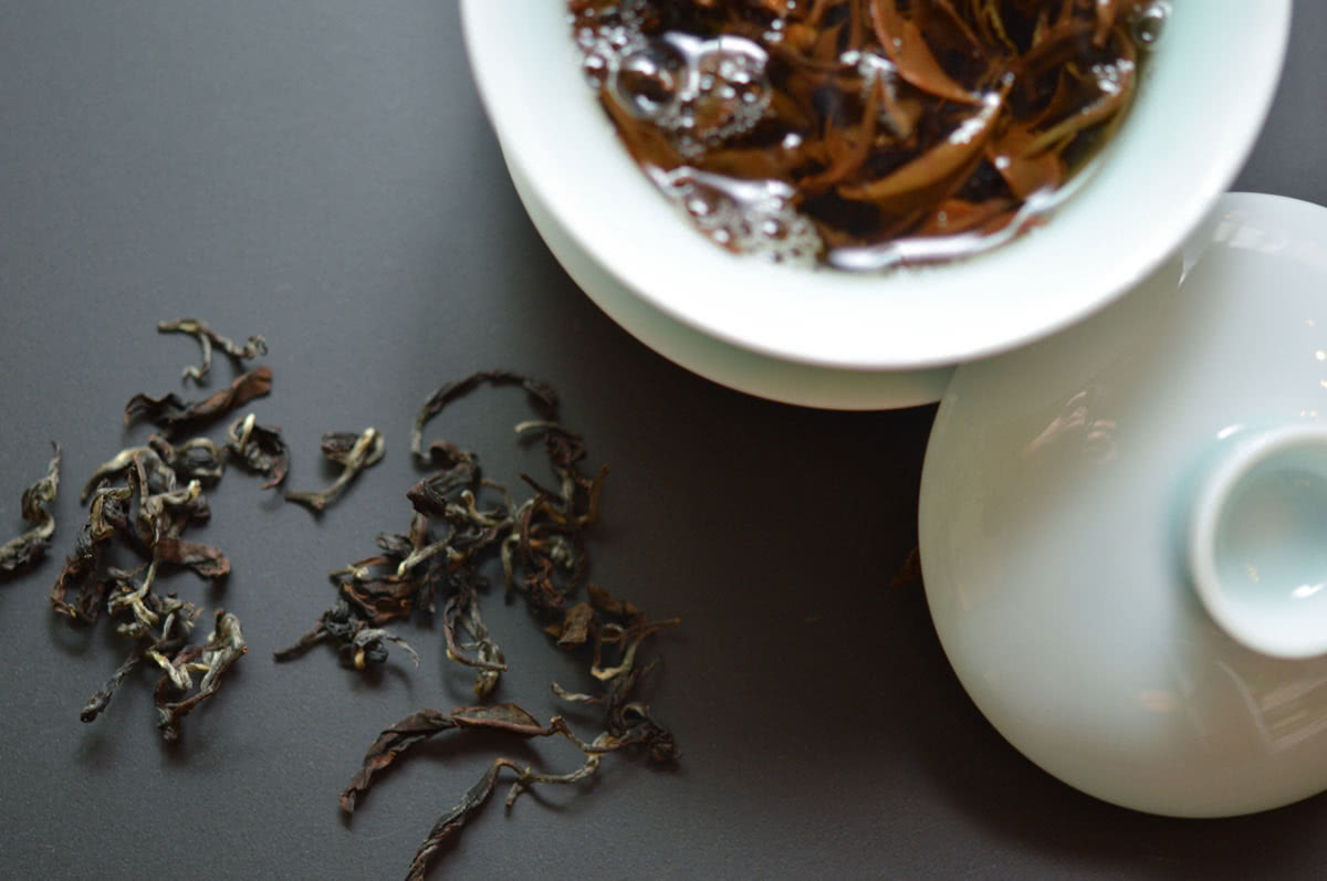 Camellia Sinensis Tea ceremony